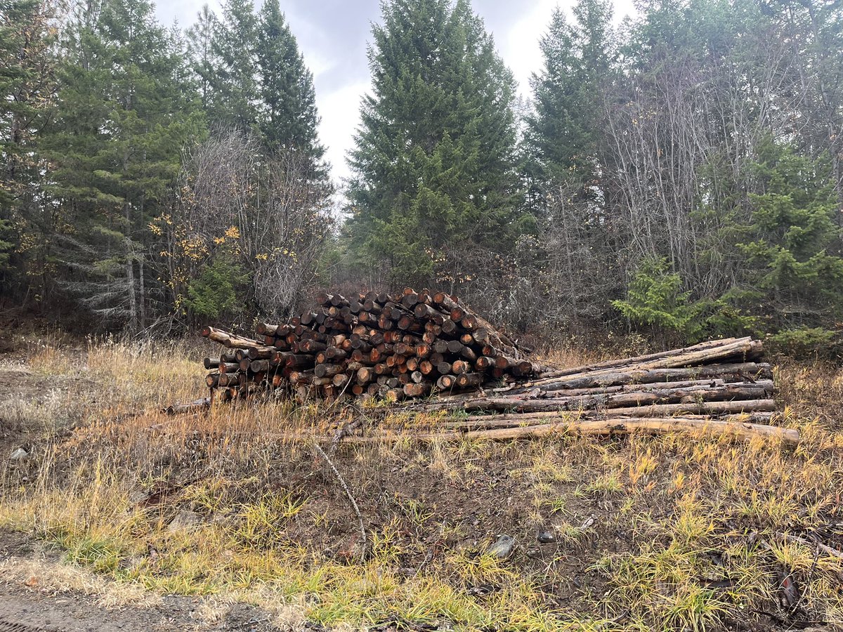 MielkeJared's tweet image. My boys are going to turn this stack into a couple tiny cabins.
Should we film the process?