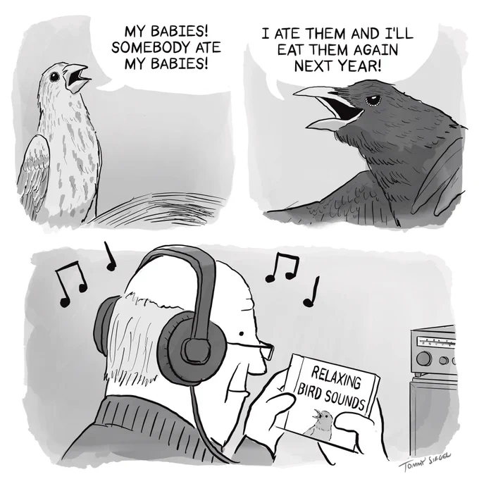 bird sounds 