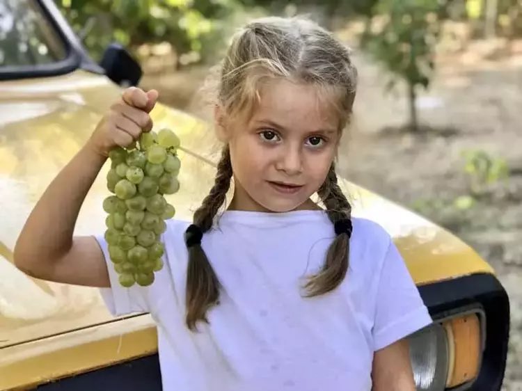 Antalya'da Torosların zirvesindeki Ormana, tarihi düğmeli evleri ve 57 yıllık üzüm festivali geleneğiyle Dünya Turizm Örgütü tarafından '2024 Dünyanın En İyi Turizm Köyü' seçildi 
#SimdiAntalyaZamani  #AntalyaZamani #ItstimeforAntalyanow #сейчасвремяАнталии