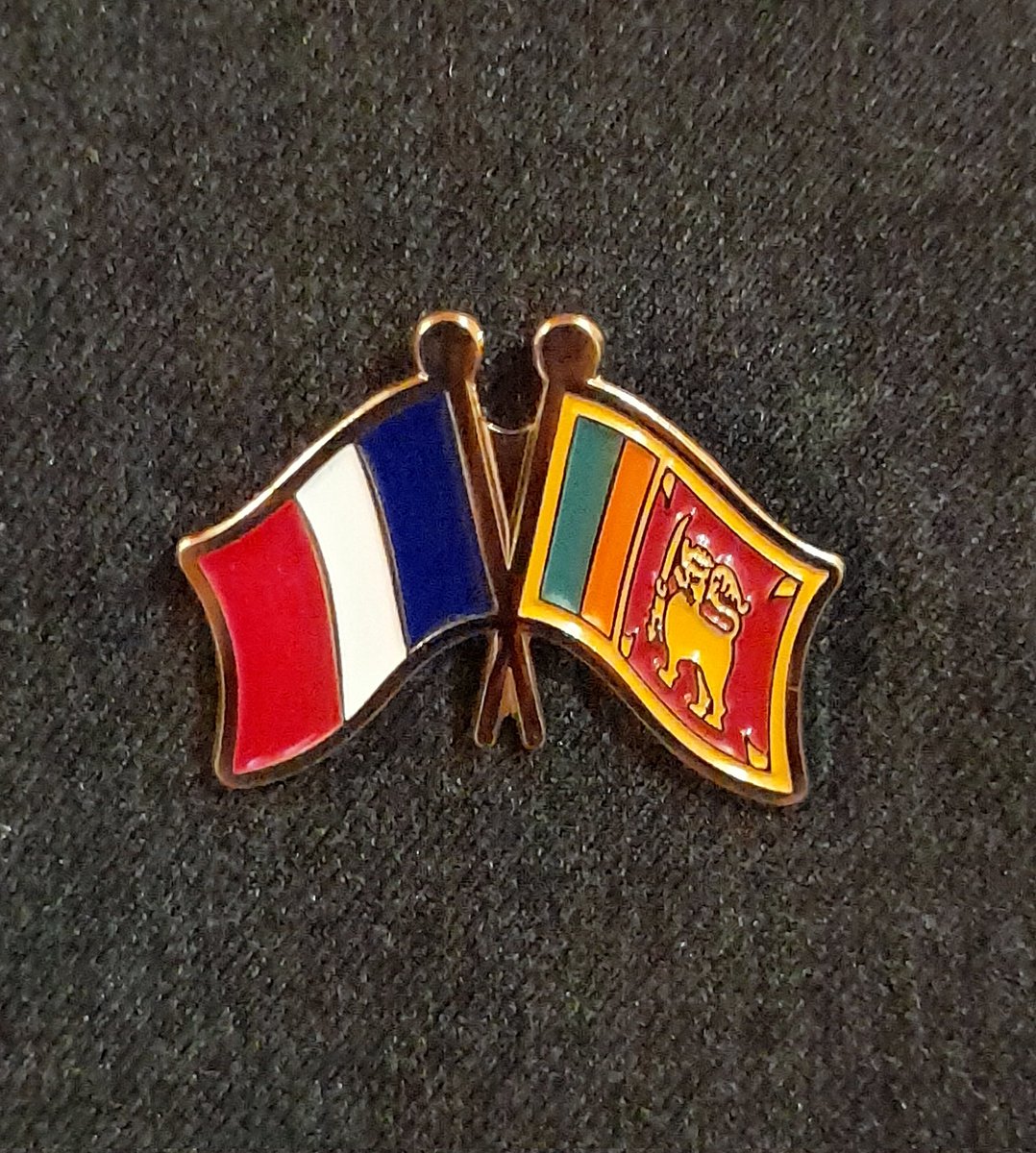 FranceinColombo's tweet photo. The Embassy of 🇫🇷
congratulates
 #President @anuradisanayake for the resounding victory at Parliamentary election. 
France 🇨🇵 shares a long-standing friendship with Sri Lanka 🇱🇰 and stands ready to further strengthen cooperation in various fields 🇨🇵🤝🇱🇰 https://t.co/U2ZWjSEq55