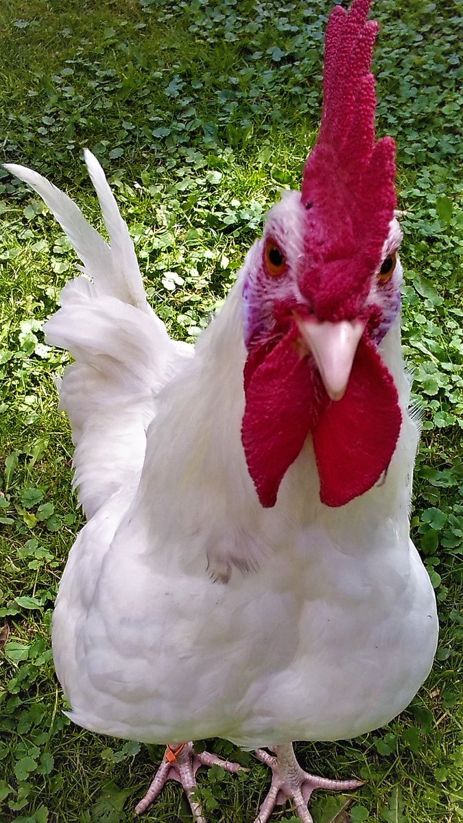 Nice Warm Day in my neck of the woods at 50 degrees. Trump is about to take office. And best of all I;m save and a new creation in Christ!