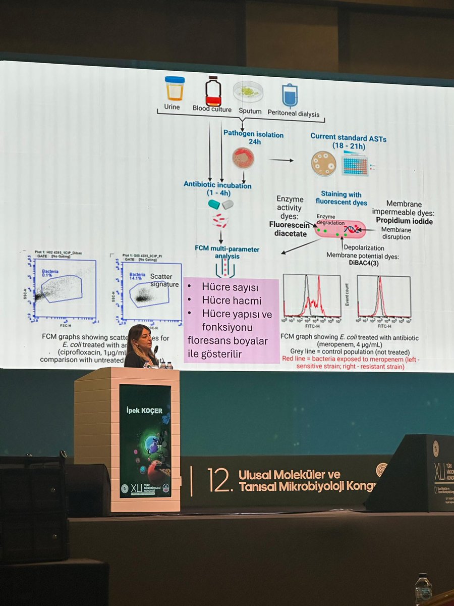 dripekkocer's tweet image. #tmc2024 kongresinde Flow sitometrinin mikrobiyoloji alanında ve antibiyotik direncin saptaması hakkında sunumumu gerçekleştirdim. Antibiyotik direncinin tespitinde hızlı yöntemlerin popülaritesi giderek artmaktadır. @TMC_online_ @stopamr_org @sankouniversite