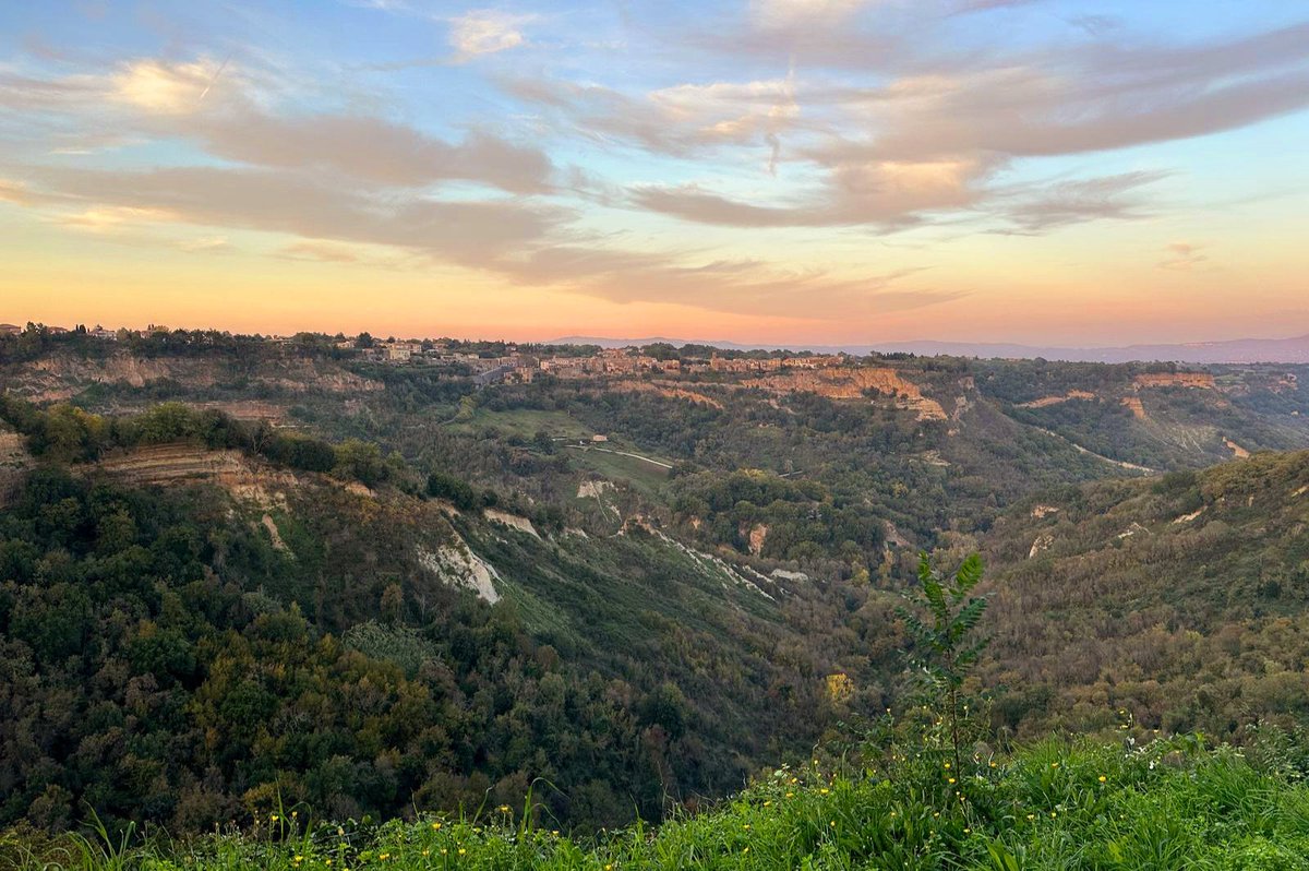 Maria Rita Cordeschi tweet media