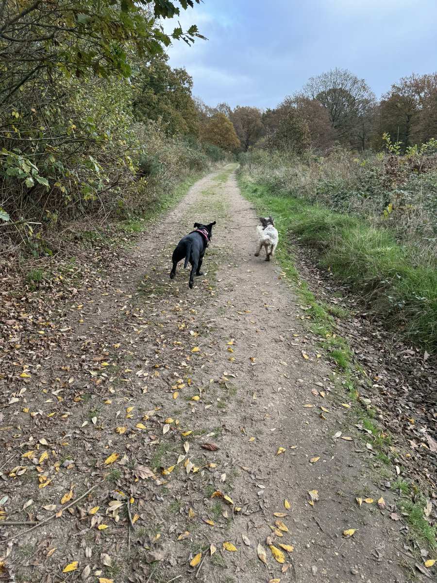 jojo_fletcher1's tweet photo. NHS frontline winters are tough-but they do bring you colleagues that become family.Hideous shifts,births, bereavements,divorce,holidays,puppies, big birthdays,job changes, house moves-there through it all-nice to take a muddy walk and debrief our busy lives today โฅ๏ธ #EDnurses https://t.co/jTIH4RBUVA