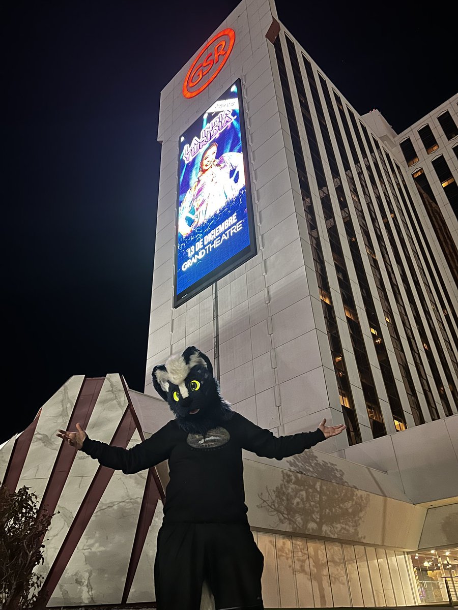 Heisler🦨 tweet media