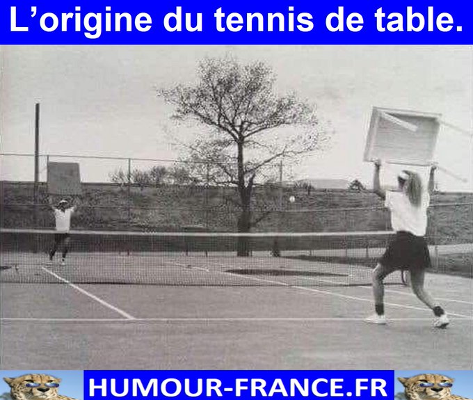 text alternatif