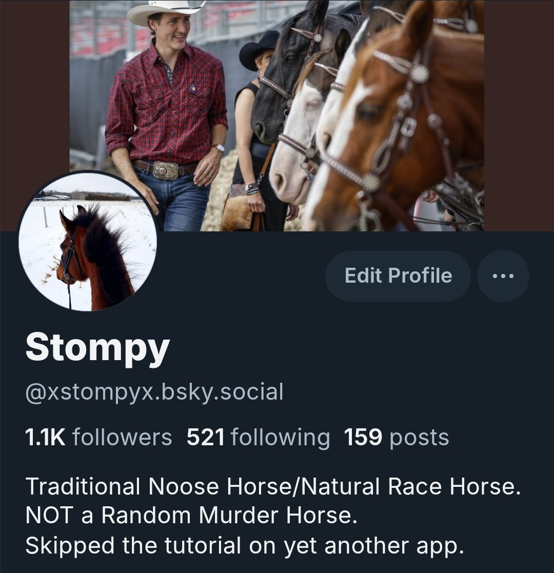 Stompy-Trudeau's Steel Shod Trampler 🏳️‍🌈 🦄 🐎 tweet media