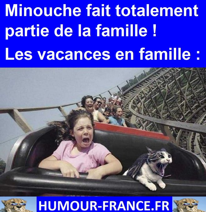 text alternatif