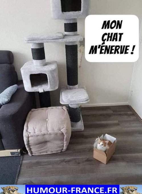 text alternatif