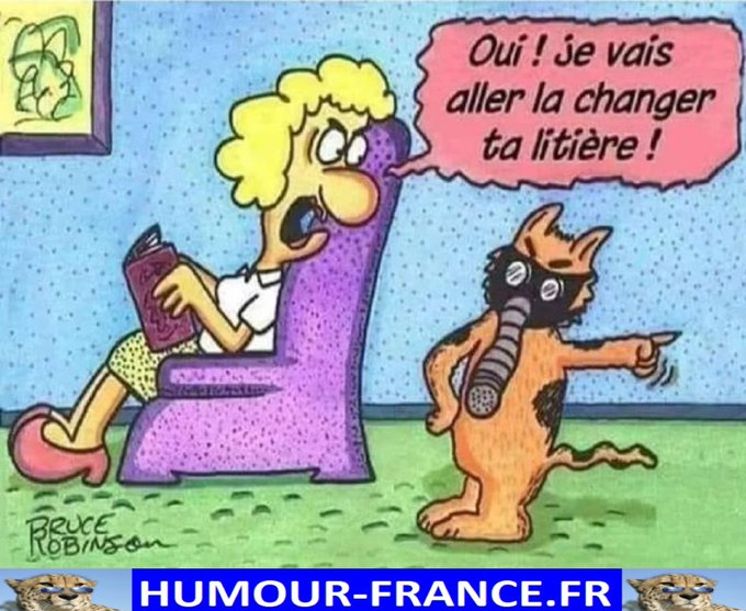 text alternatif