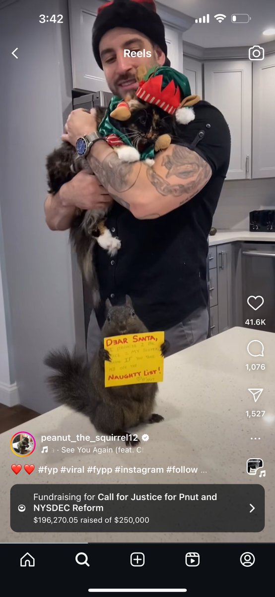 cryptocal4211's tweet image. GM, the $chloe chart is still bullish and Peanut is still our guardian angel