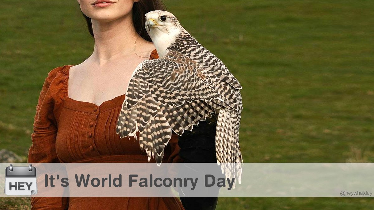 HeyWhatDay's tweet photo. It's World Falconry Day!
#WorldFalconryDay #FalconryDay #FalconDay https://t.co/JDPOjjgo8P