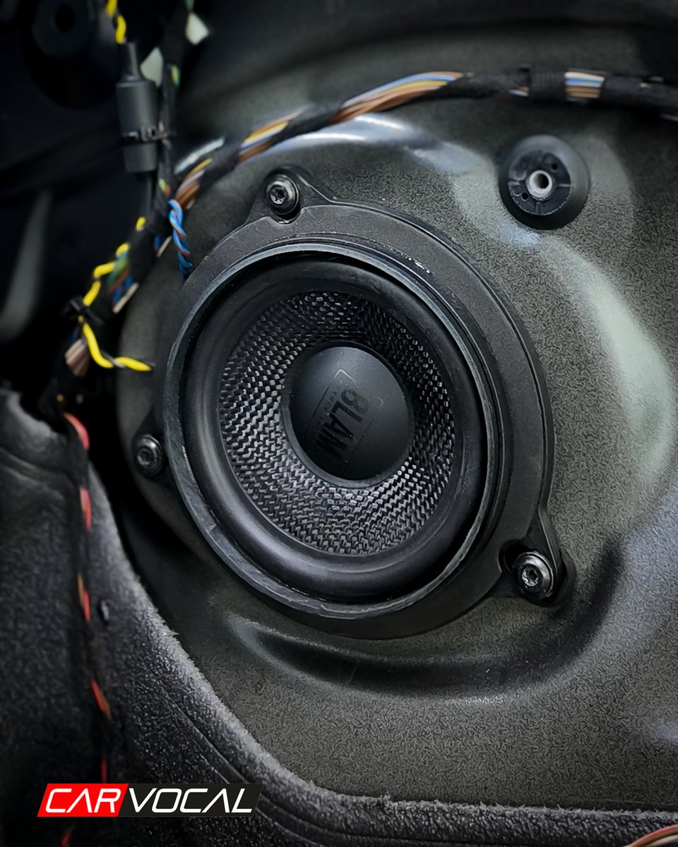 Carvocal tweet media