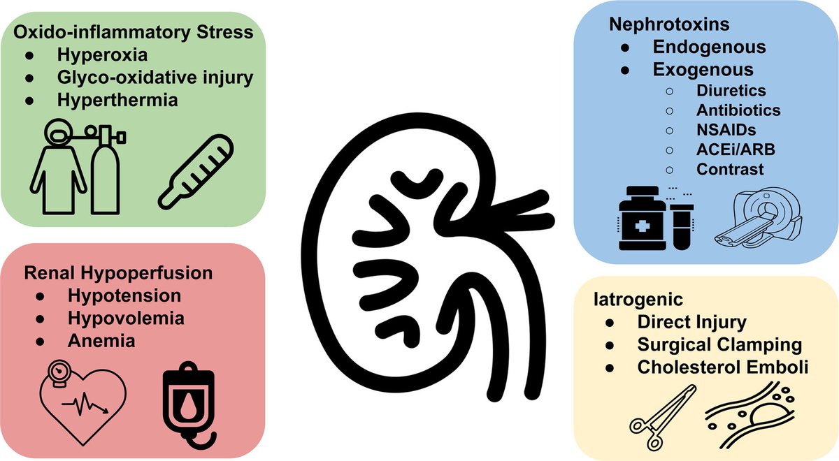 Perioperative Acute Kidney Injury: Diagnosis, Prediction, Prevention, and Treatment 

CCR Journal Watch
criticalcarereviews.com/latest-evidenc…

Get the latest critical care literature every weekend via the CCR Newsletter - subscribe at criticalcarereviews.com/newsletters/su…