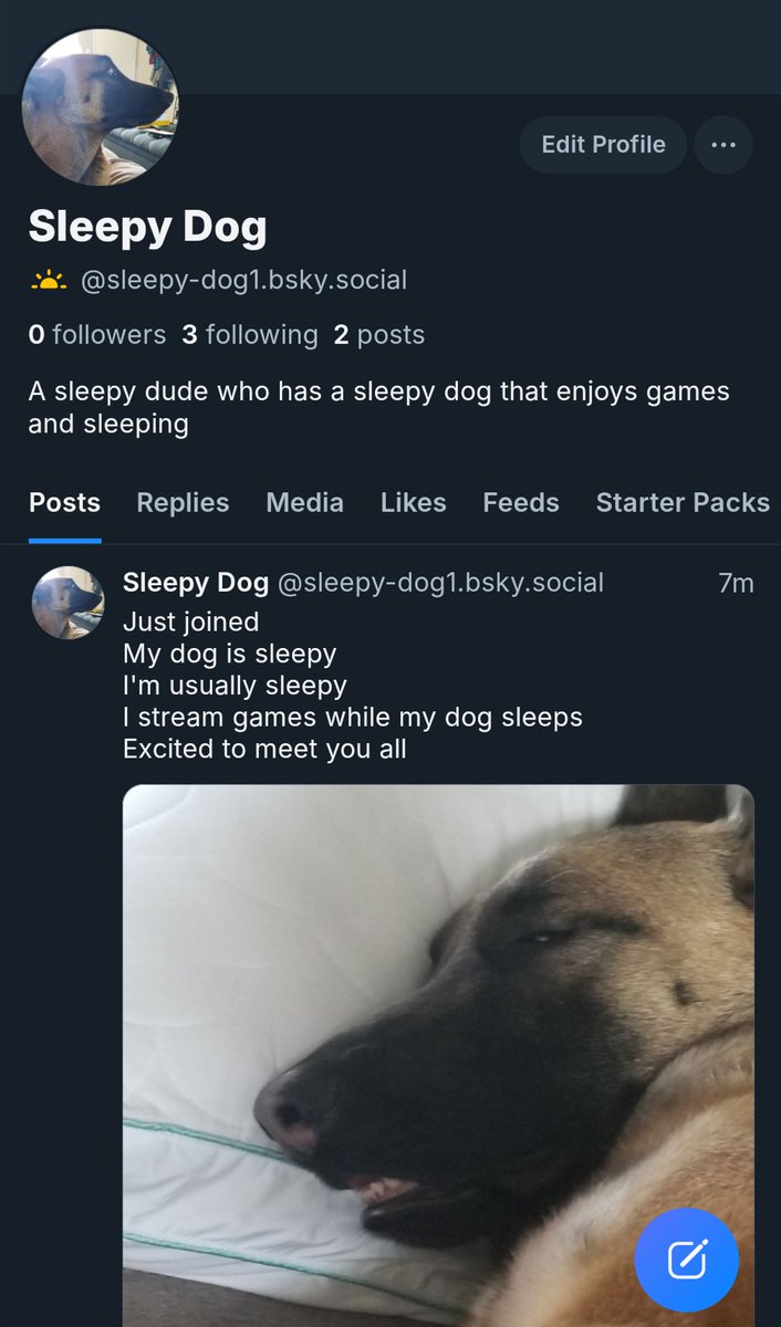 Sleepydogttv tweet media