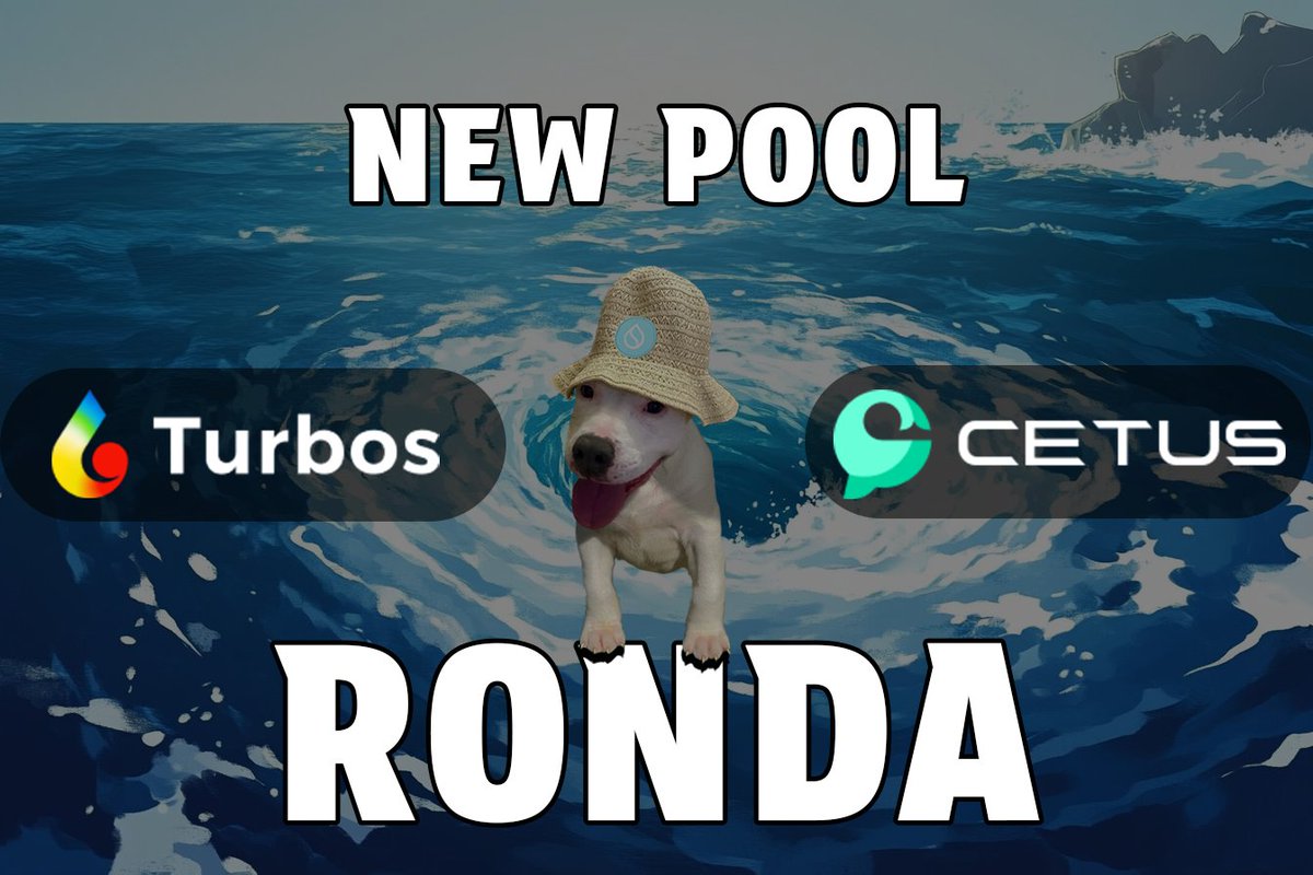 RondaOnSui tweet media