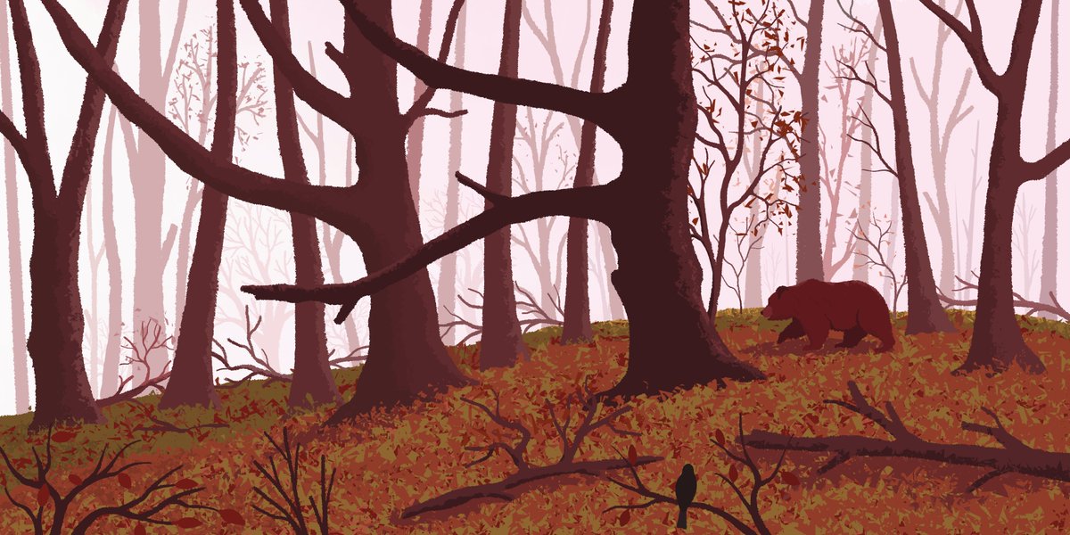 Digging some late autumn vibes 🍁