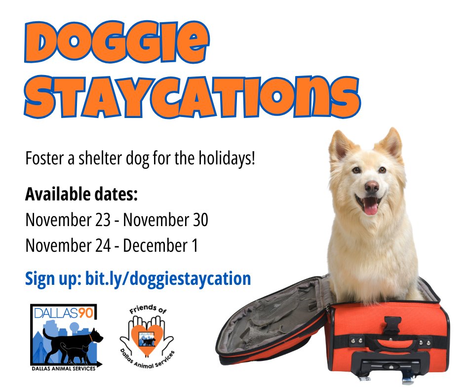Introducing Doggie STAYcations!

You'll take them home for just a week (November 23 - 30 or November 24 - December 1) and of course, you can bring them back earlier as needed. 

Book your #DoggieStaycation here! bit.ly/doggiestaycati…