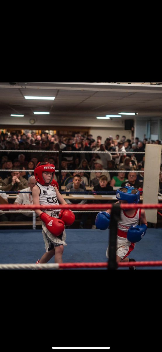 soniamcilroy's tweet photo. Well done Harley 🥊🥊 https://t.co/UNRe3XCgcs