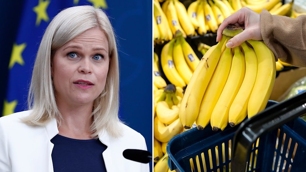 🚨🇸🇪SWEDISH MINISTER DEMANDS BANANAS REMOVED OVER PHOBIA

Sweden’s Gender Equality Minister, Paulina Brandberg, requested venues to be cleared of bananas during official visits due to her severe "bananaphobia."

Emails revealed staff were instructed to ensure "banana-free" areas,
