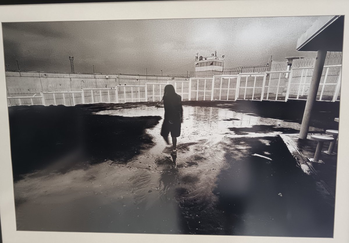 GerardoE042414's tweet image. #ElIlustradorUniversitario   #ElPoderDeLaVoz