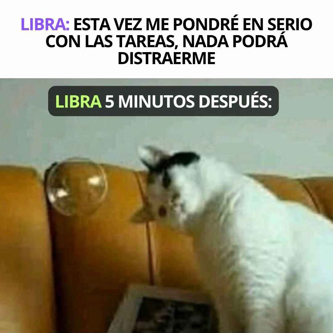 librahverde's tweet image. ♎ #Libra