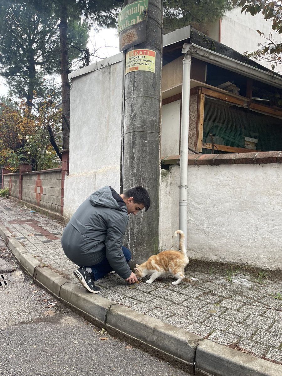 uludaguatt's tweet photo. Gelenekleşmiş sokak hayvanlarına mama dağıtımımızdan kalanlar…🐾 https://t.co/bnEW9RQPTg