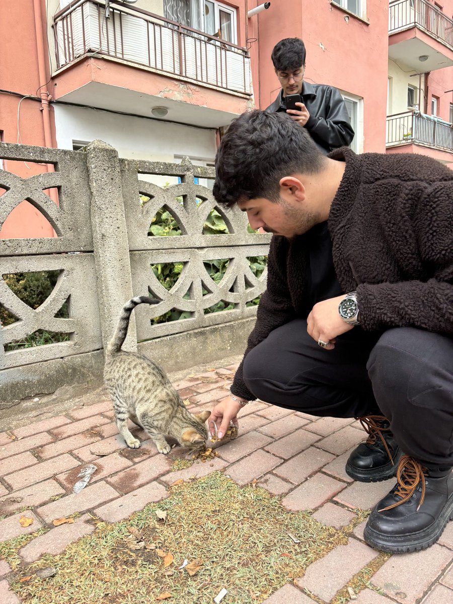 uludaguatt's tweet photo. Gelenekleşmiş sokak hayvanlarına mama dağıtımımızdan kalanlar…🐾 https://t.co/bnEW9RQPTg