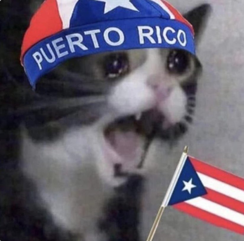 ordeplouis's tweet photo. mood de hoy https://t.co/sQtPzIinad
