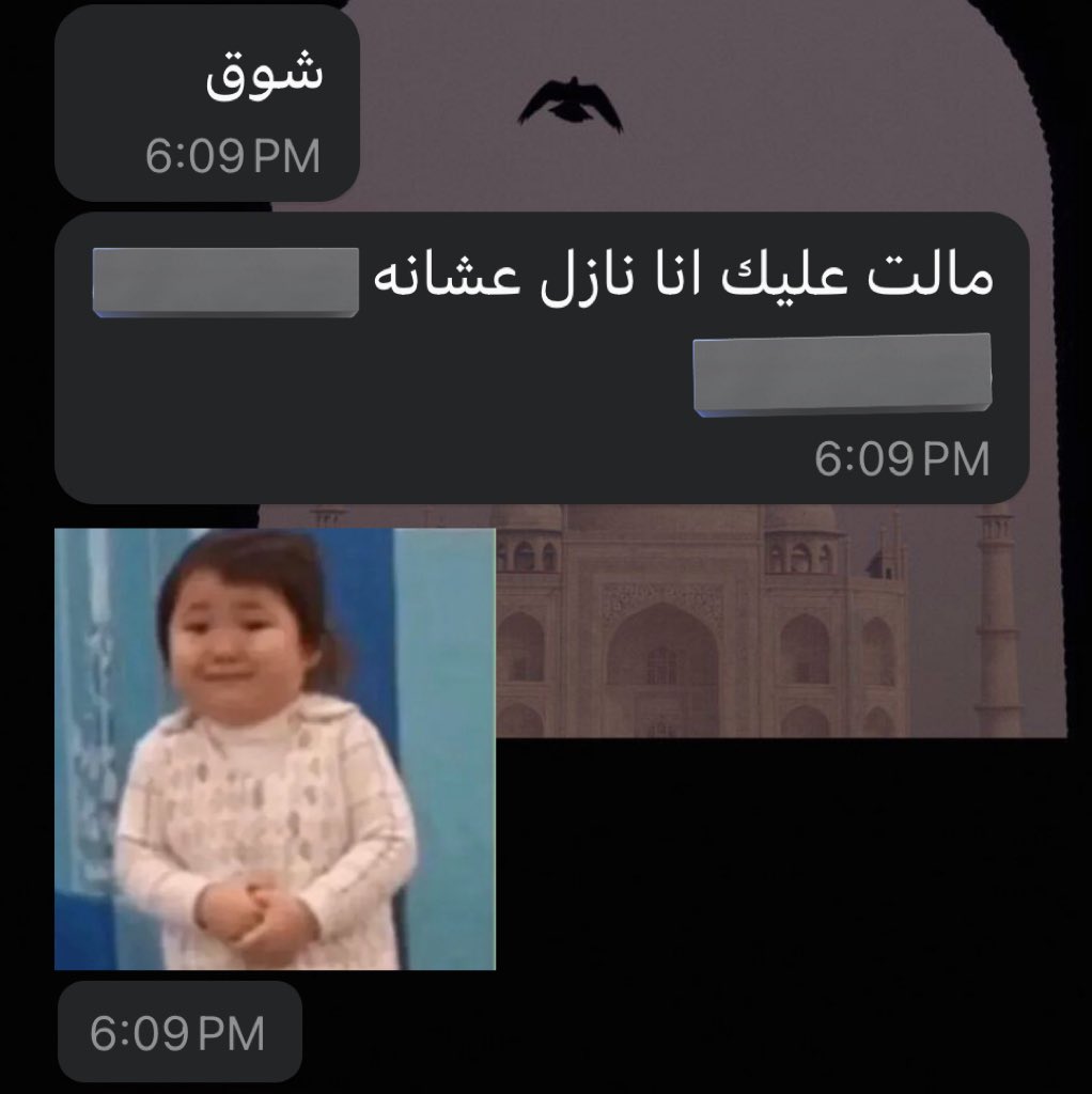 Batool | بَتُولْ tweet media