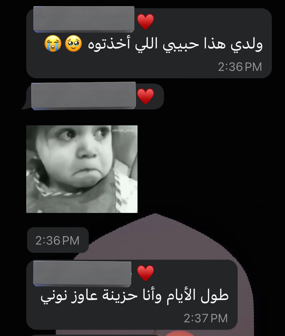 Batool | بَتُولْ tweet media