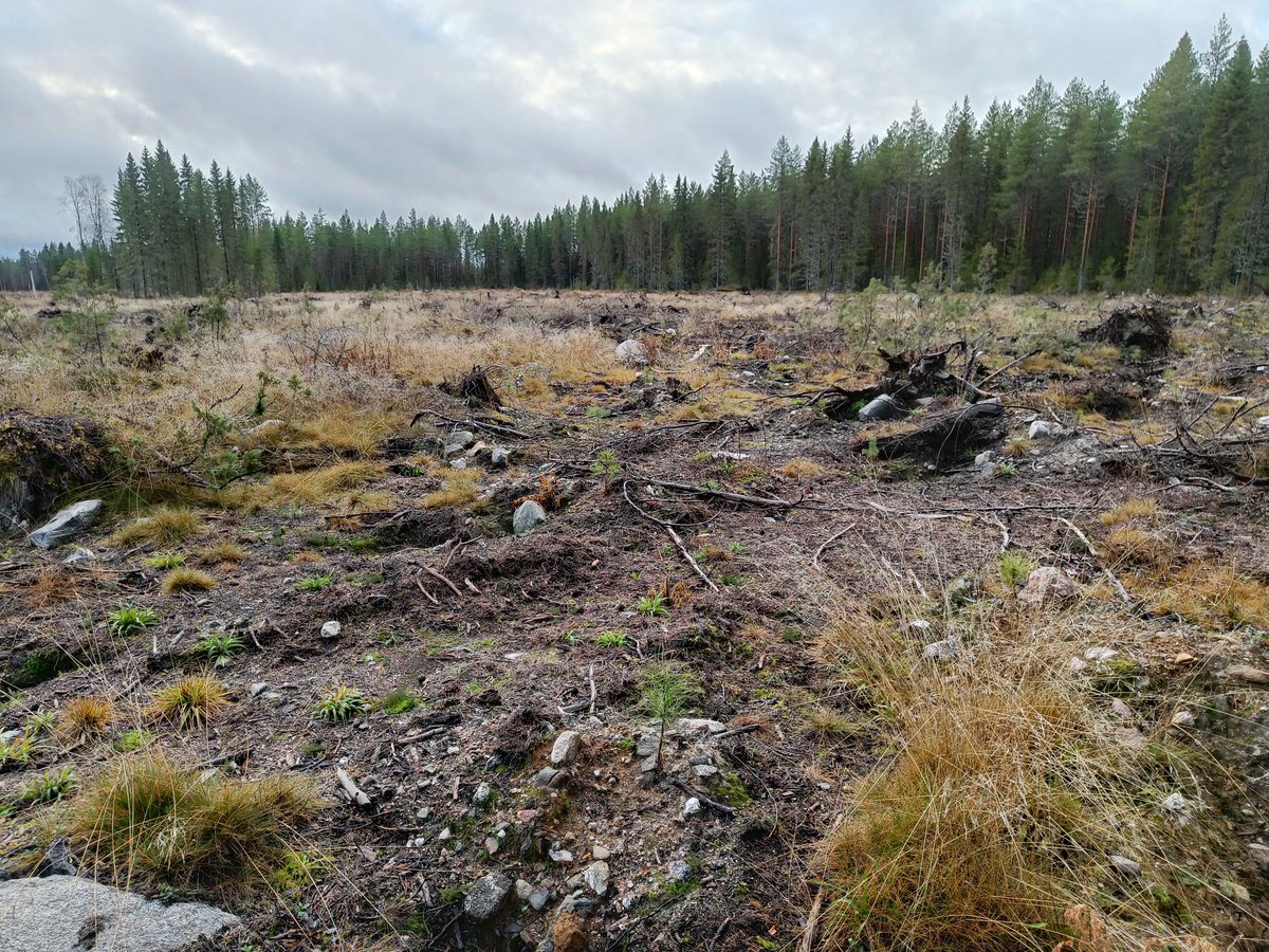 Heikki Ala-aho 🌳🌲🌱🐞🌊🌍📊 tweet media