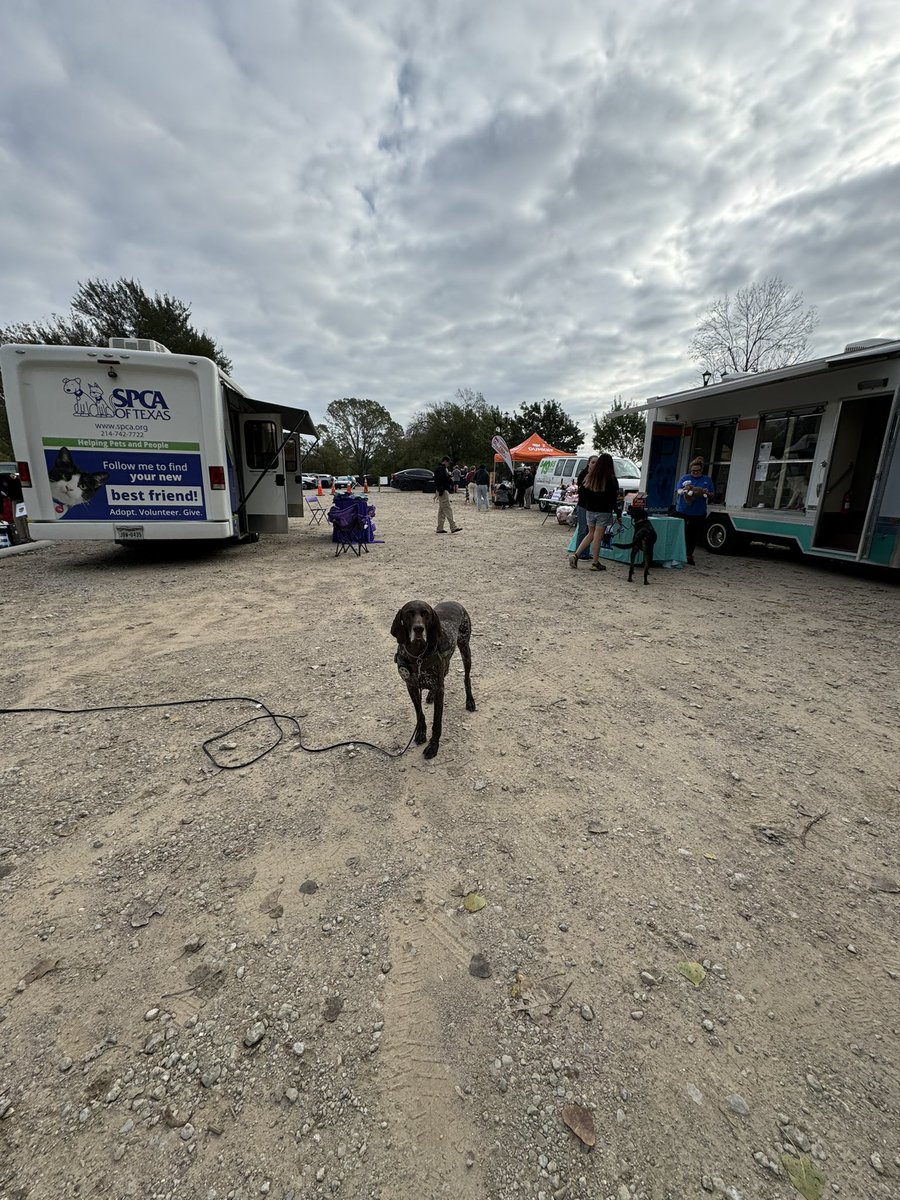 K9Apollo (@dpdk9apollo) on Twitter photo Come see me & mom <a href="/AngelaNordyke/">Angela Nordyke</a> <a href="/whiterockdallas/">White Rock Lake Conservancy</a> #dogpark <a href="/TacticalDPD/">Dallas PD Tactical Support</a> <a href="/DPDCA/">DPDCommunityAffairs</a> Come see me & mom <a href="/AngelaNordyke/">Angela Nordyke</a> <a href="/whiterockdallas/">White Rock Lake Conservancy</a> #dogpark <a href="/TacticalDPD/">Dallas PD Tactical Support</a> <a href="/DPDCA/">DPDCommunityAffairs</a>