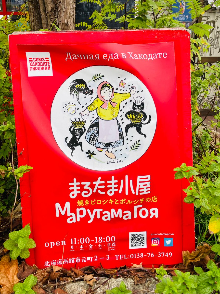 函館でふらっと入った「まるたま小屋」さん
✨かわいい✨と✨遊び心✨が詰まった、ロシア風焼きピロシキとボルシチのお店です

こんなカラフルでおしゃれなорешки（商品名は日本風にクルミシュキ）、本国でも見たことない！

北海道の素材を使ったピロシキがとてもやさしいお味

おすすめです🐱