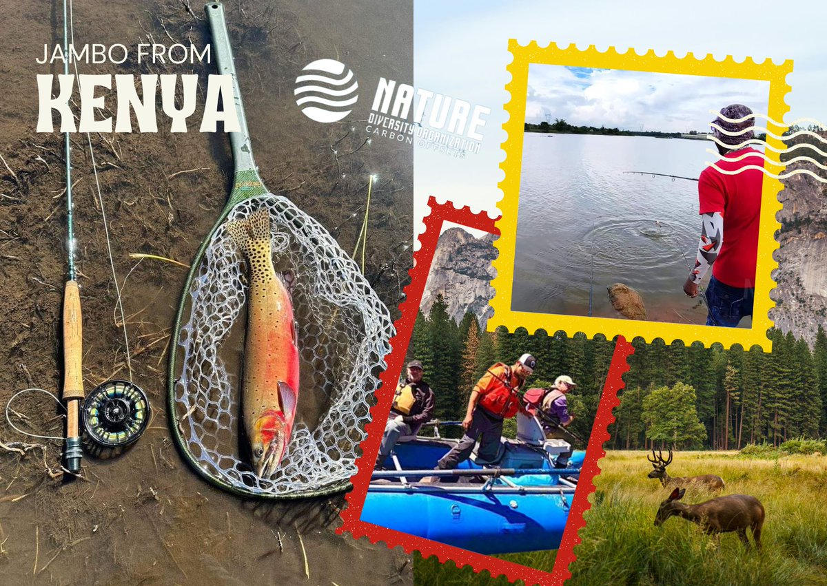 NatureDversity's tweet photo. Jambo from #Kenyans 🇰🇪!

Welcome to the 2025 Sport Fishing Event. 
A fun filled event to conserve Lake Ellis Ecosystem and Protect the Rainbow Trout Fish found in the high altitude. 
Click below for more details: https://t.co/iu4ex6Y2cf

#fishinglife #hike #Catholic #Netherlands https://t.co/TOMJOijFSK