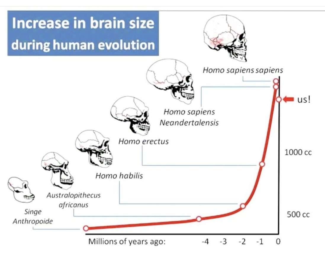 What transpired in the last 500 years that allowed humans to circumvent the cognitive wall?!