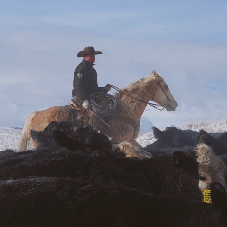 Jeremy_Rich12's tweet photo. Out here on the ranch doing what I love!π€ ππ»ππ»
#cowboying #montana #ranching #cattle #horses #cowboyhardware #yellowstone #wrangler #prohats https://t.co/qSt0cWxNtB
