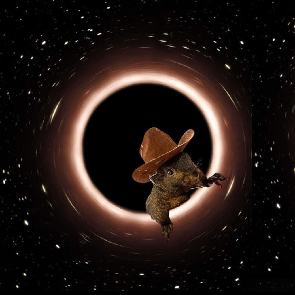 RIP #PNUT 🕳🐿

Black holes don’t discriminate. Liquidity, memes, squirrels—everything gets pulled in.

One moment he was hoarding acorns, the next—gone. Nothing escapes the pull of the $BLACK hole.