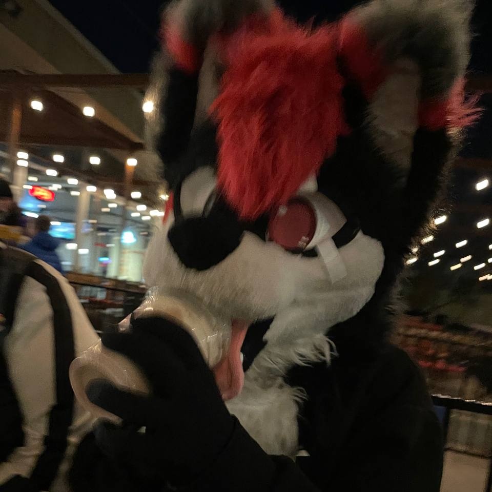 Fur_LoneWolf's tweet photo. #NewProfilePic https://t.co/Ooj5oO5LxC