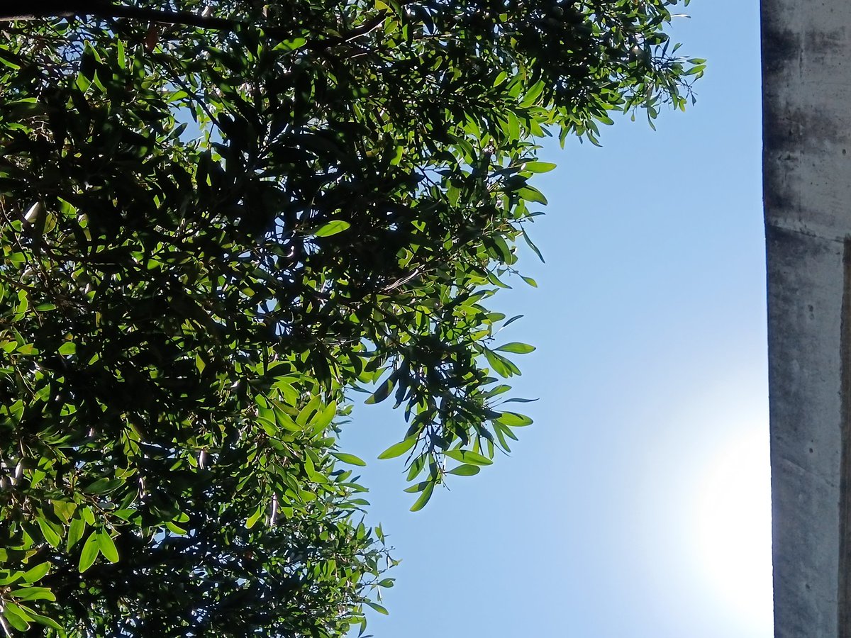 GerardoE042414's tweet image. El día de ayer se realizaron breves actividades sobre la salud mental impartidas por mis compañeros, asumiéndose como la ONG &quot;Médicos sin fronteras&quot;. 
#ElIlustradorUniversitario   #ElPoderDeLaVoz