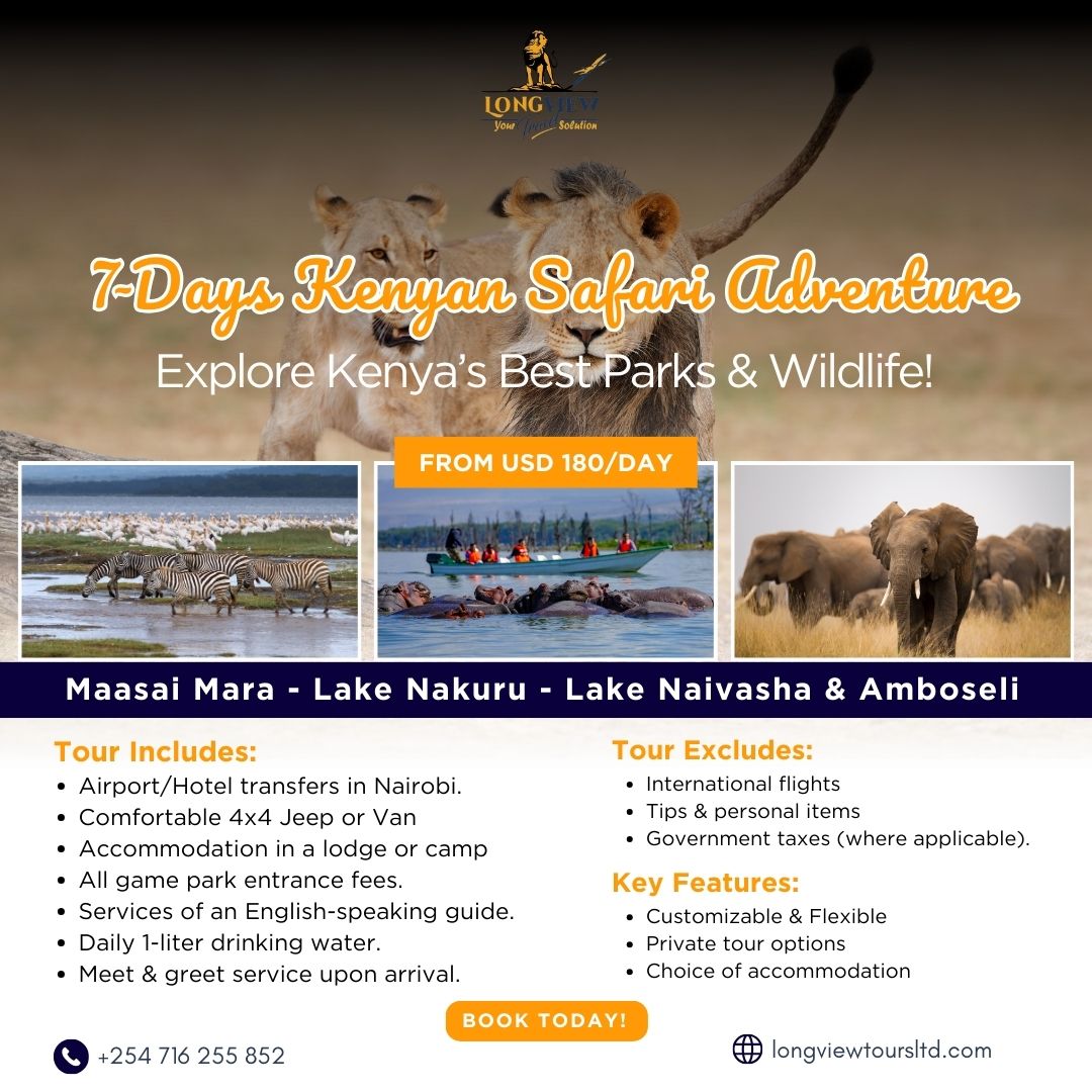 LongviewTravel's tweet photo. Experience the ultimate Kenyan safari! 🌍 Explore Samburu, Aberdares, Lake Nakuru, and Masai Mara, starting at just $200/day. Discover breathtaking landscapes and amazing wildlife on this unforgettable journey. Book now! 📲 DM or Call/WhatsApp +254 716 255 852 / +254 706 542 245 https://t.co/STmwvCtryd