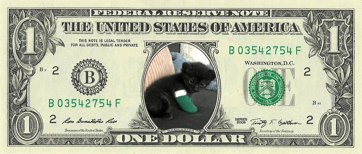 NibsyCTO2's tweet photo. The future of $NIBSY https://t.co/FmFcMu5ngo