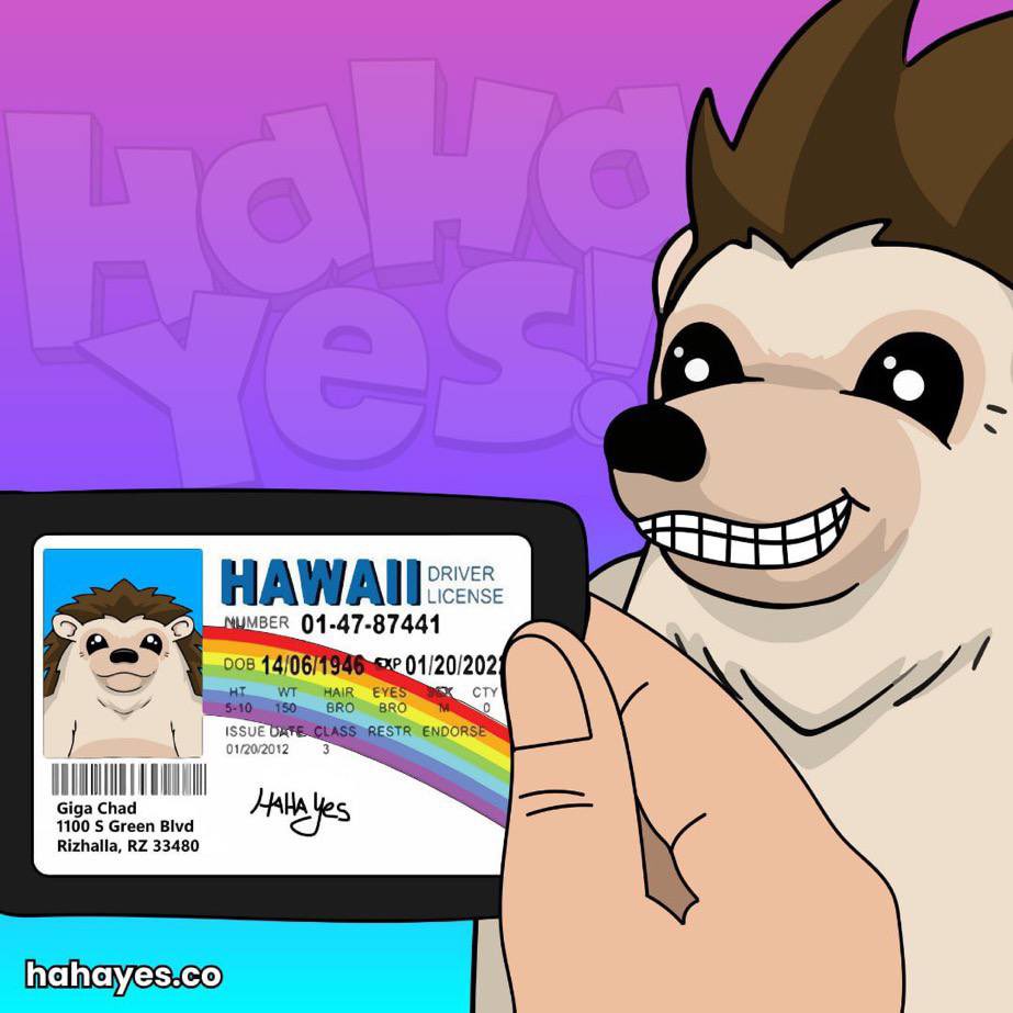 DougHeffernan99's tweet photo. @hahayes HAHA YES!!!! HAHA YES!!!!!! HAHA YESSSSS!!!!!

#hahayes https://t.co/OqSVROnakW