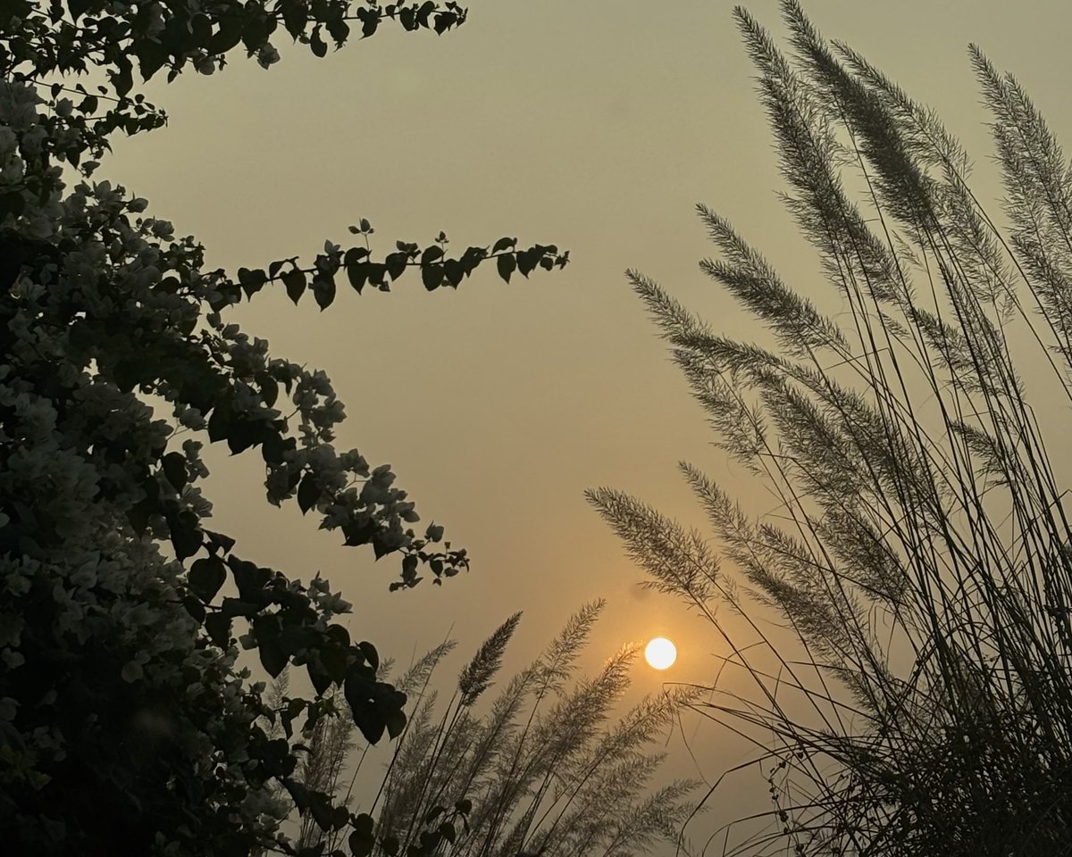 zeeaurav's tweet photo. as simple as november sunsets https://t.co/MFe3PKRs1i