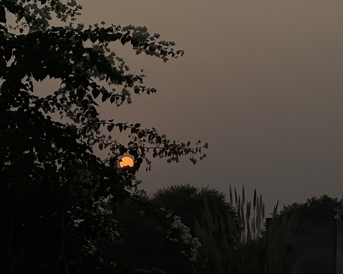 as simple as november sunsets