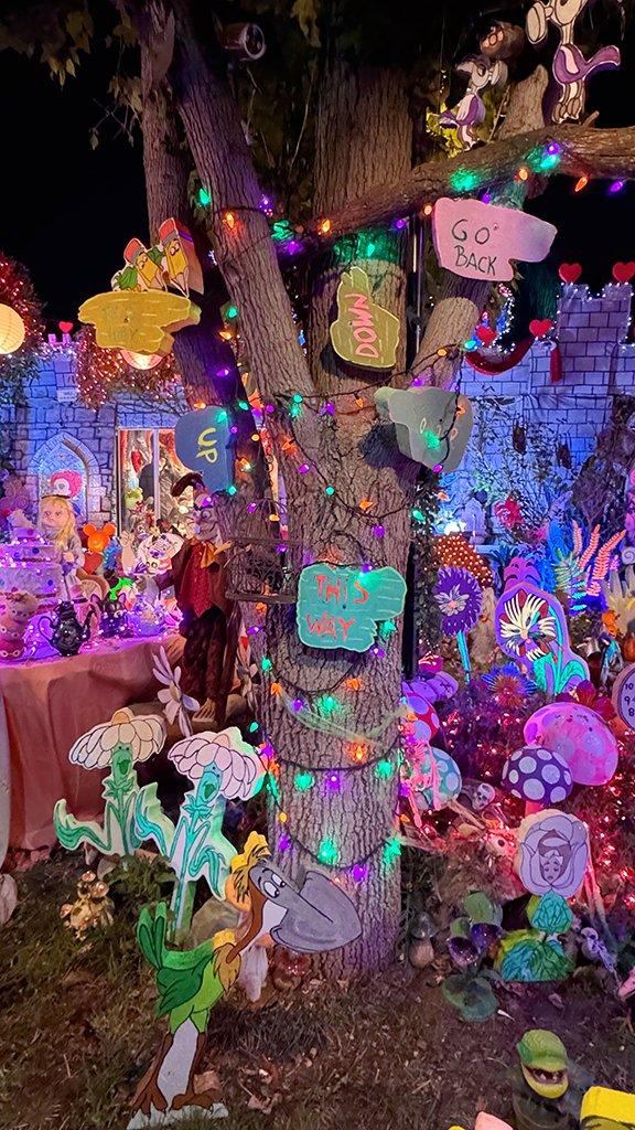 AgnesGarbowska's tweet image. Doubt means you’re close to a breakthrough. Keep moving forward!

#KeepCreating #Motivation #OvercomeChallenges #Inspiration