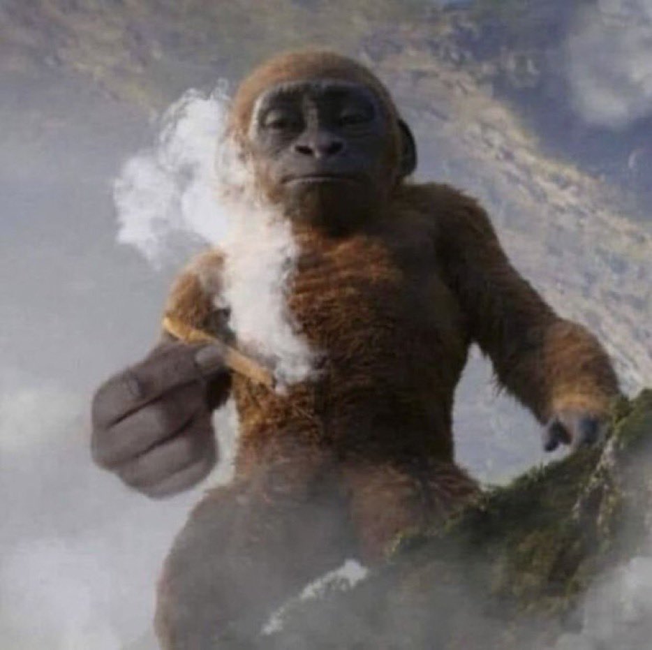 Zihemtrim's tweet image. The Only Thing I Didnt Want Could be a Reality, Aliens that Could Be Aquatic Humanoids 👀 Bro The DLC is Getting too Real if these Niggas ain’t Air Breathing Lifeforms 🤣🤣🤣 Imma be The First Person In Power Armor 🥹🥹… #WaterNiggaAliens #GodAintGiveMeGillsBra #Aliens