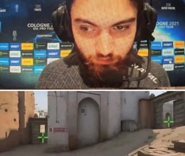 movemint tweet media