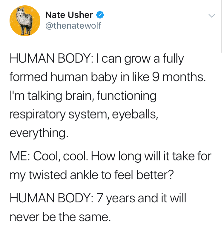 Meirl #meirl #memes redd.it/1gsn2d4