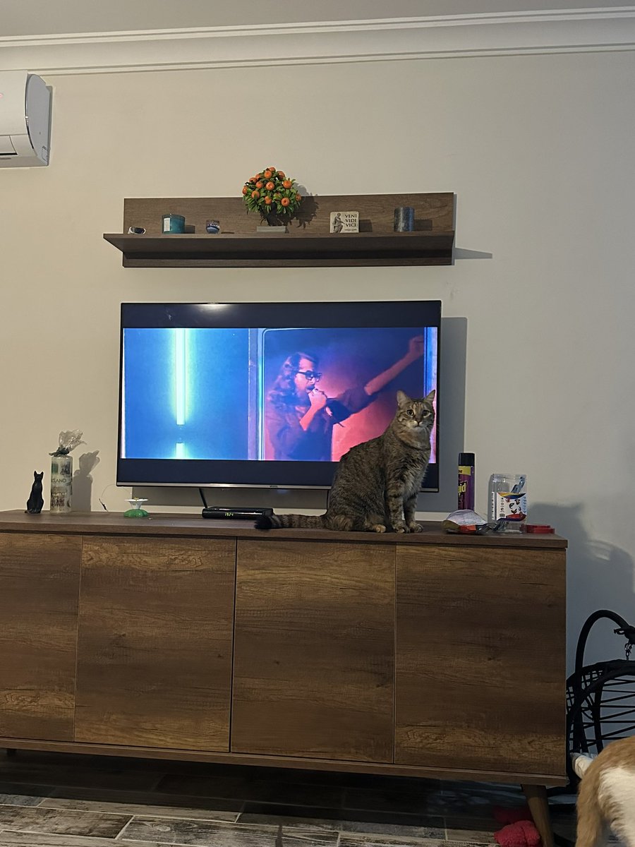 Cem Karaca’nın Gözyaşları <a href="/KbrKtly/">KbrKtly</a> 😢